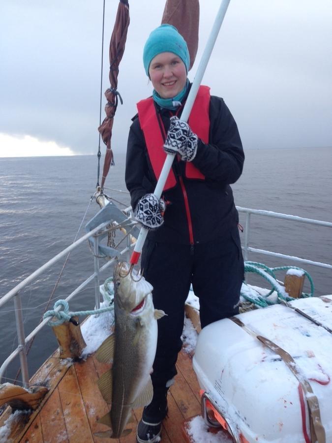 Elvegard Fjordcamp Hotel Grov ภายนอก รูปภาพ