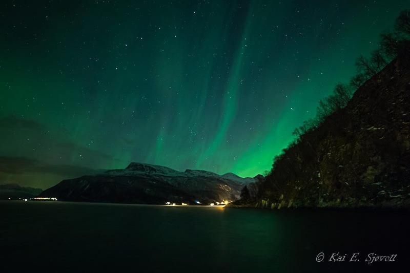 Elvegard Fjordcamp Hotel Grov ภายนอก รูปภาพ